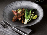 Porcelite Aura Porcelite Aura